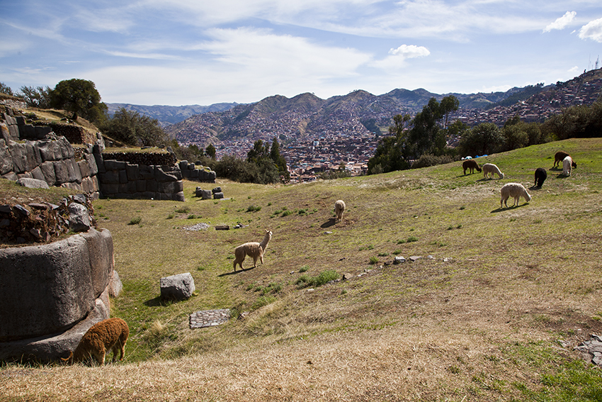 Cusco-site-inca-Sacsayhuaman-IMG_3504