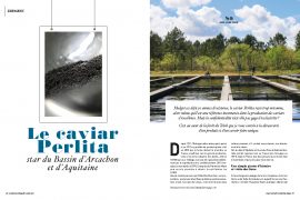 Mise en page 1