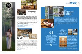 Mise en page 1
