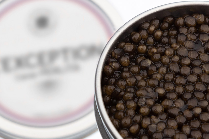 Caviar Perlita L'exception2 copie