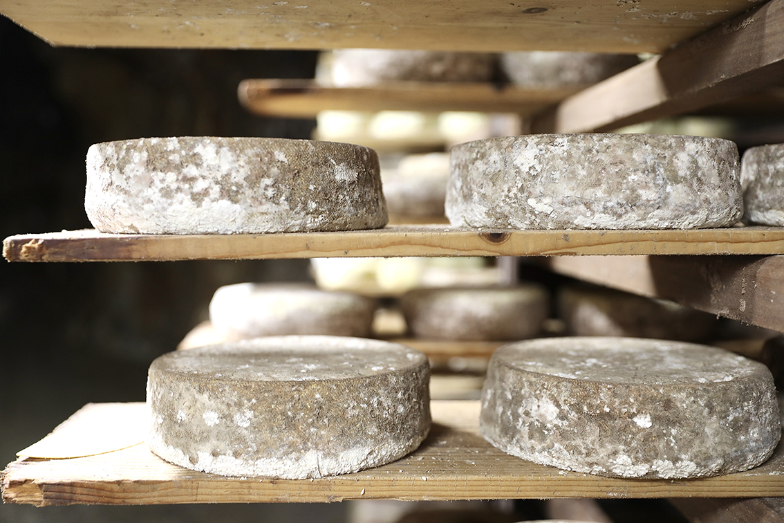 Fromager Michel cave