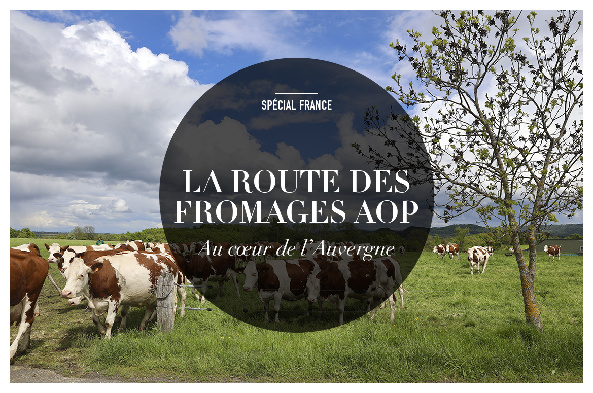 7_FROMAGES
